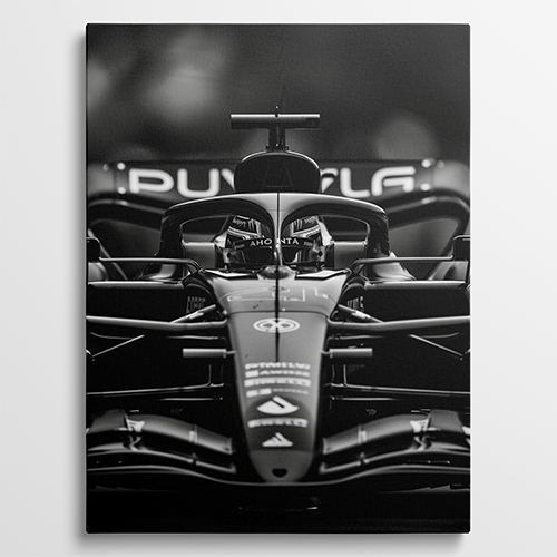 Formula 1 - Luxe schilderij