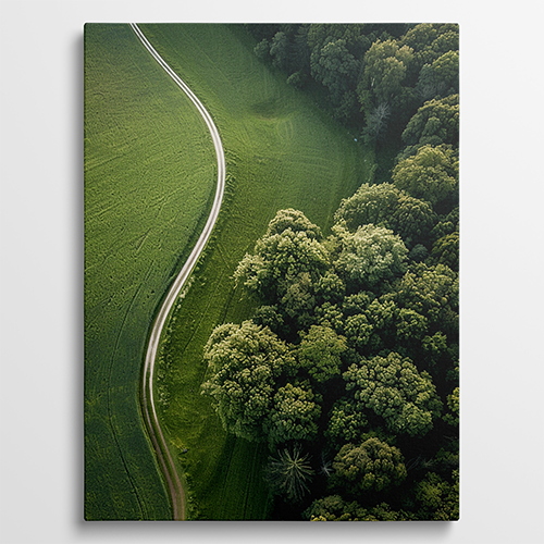 Whispering Forest Path - Landschap schilderij