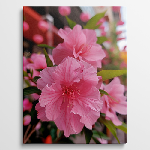 Pink Petal Perfection - Bloemen schilderij