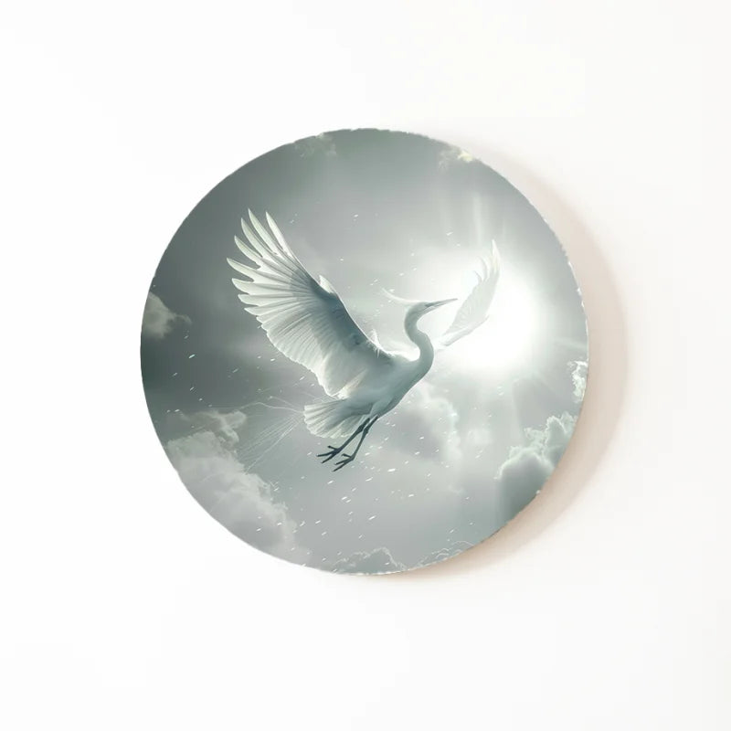 Dibond muurcirkel van een witte vogel in de lucht