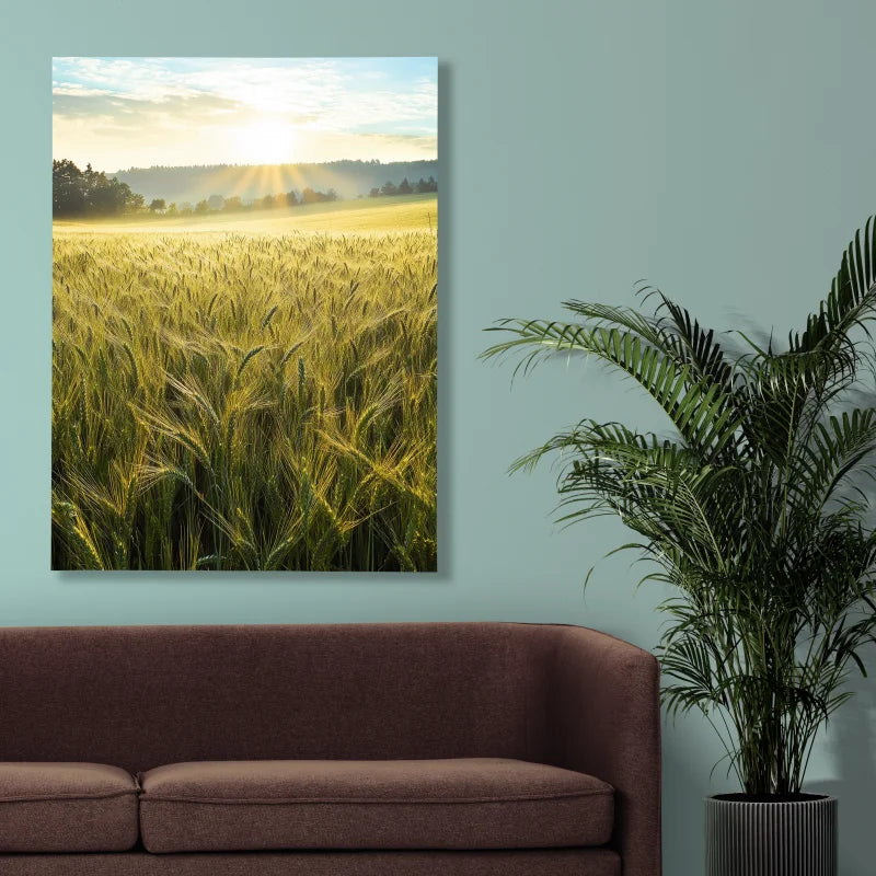 Wanddecoratie dibond met uitgestrekte gouden velden onder een heldere lucht, een prachtige landelijke decoratie.