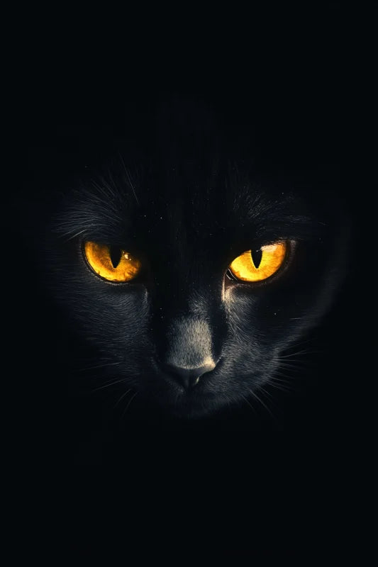 Wanddecoratie op dibond met een close-up van krachtige gele ogen van een kat.