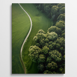 Whispering Forest Path