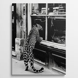 Leopard in Store