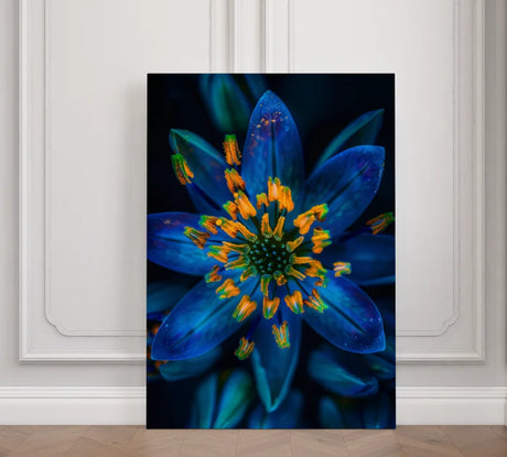Wanddecoratie canvas van Een prachtige bloem met rijke blauwe en gele tinten