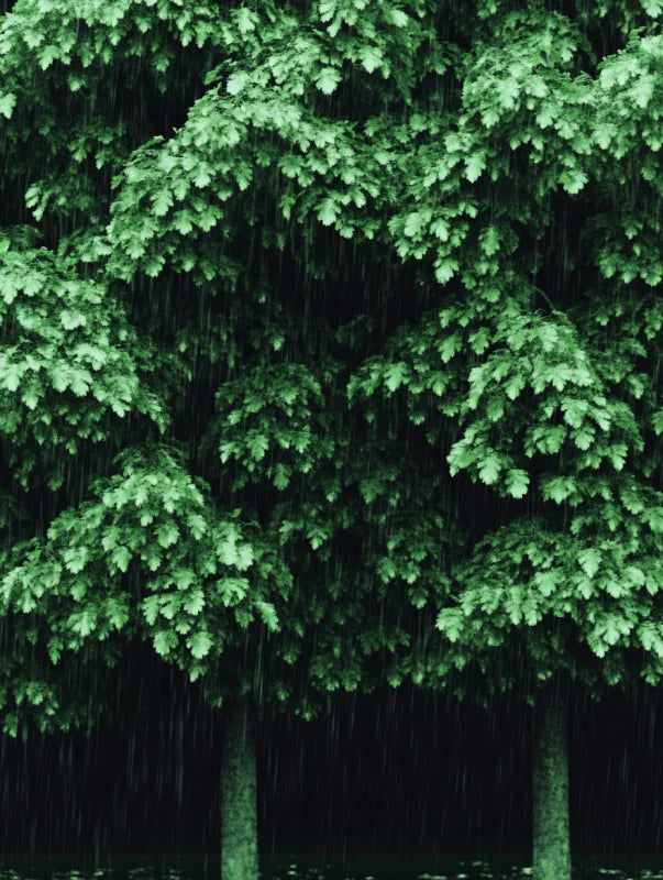 Wanddecoratie dibond met een groen regenwoud in een lichte regenbui, perfect voor een verfrissende uitstraling.